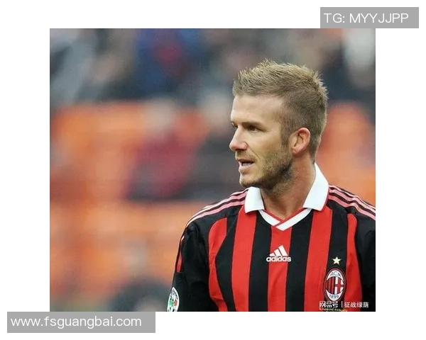 洛宾：从荷兰天才到足坛传奇的成长历程与辉煌时刻