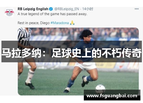 马拉多纳：足球史上的不朽传奇