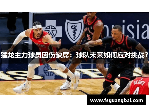 猛龙主力球员因伤缺席：球队未来如何应对挑战？