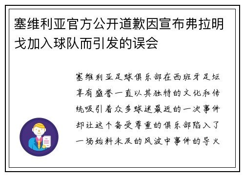 塞维利亚官方公开道歉因宣布弗拉明戈加入球队而引发的误会